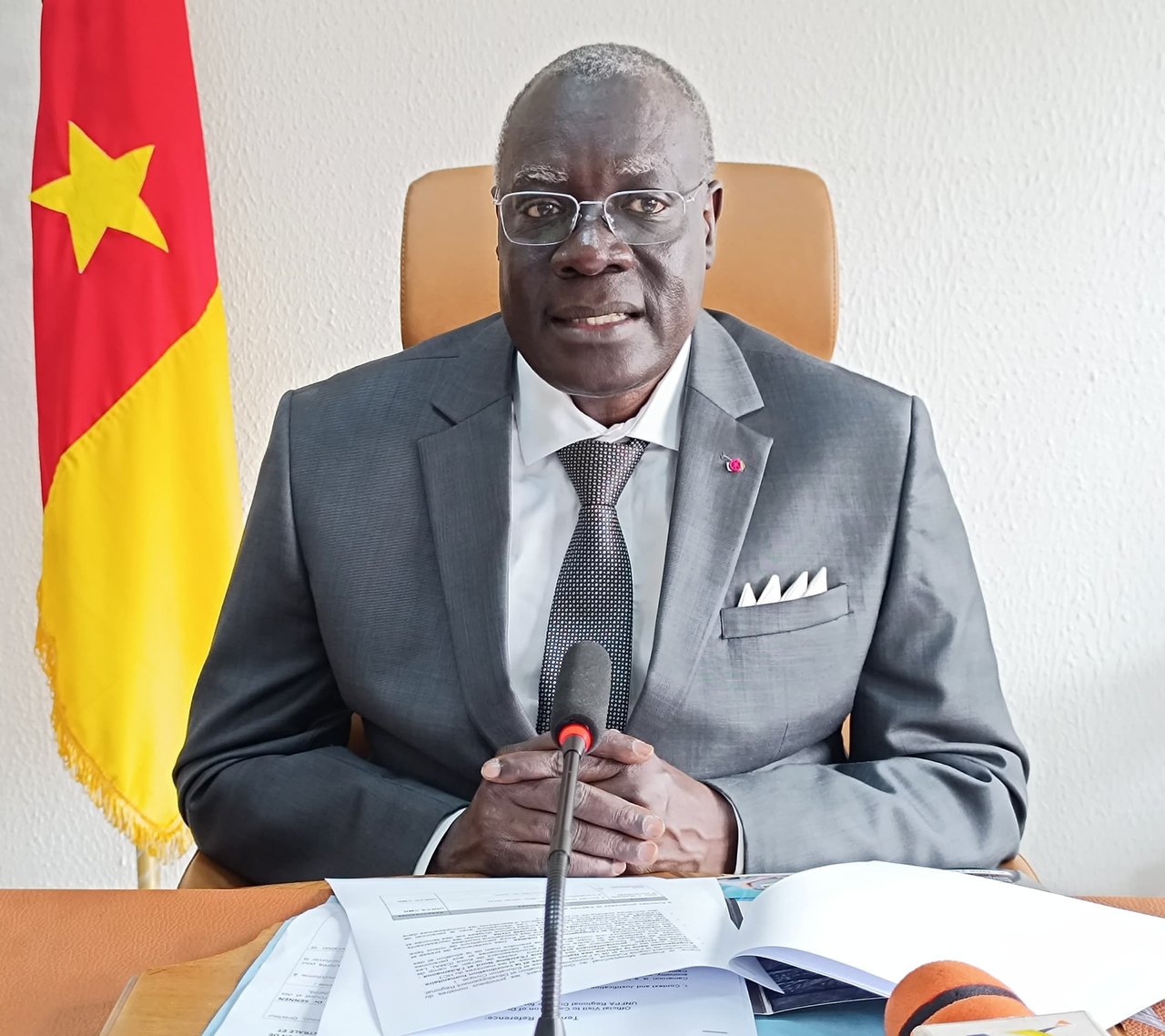 Official portrait of the Minister