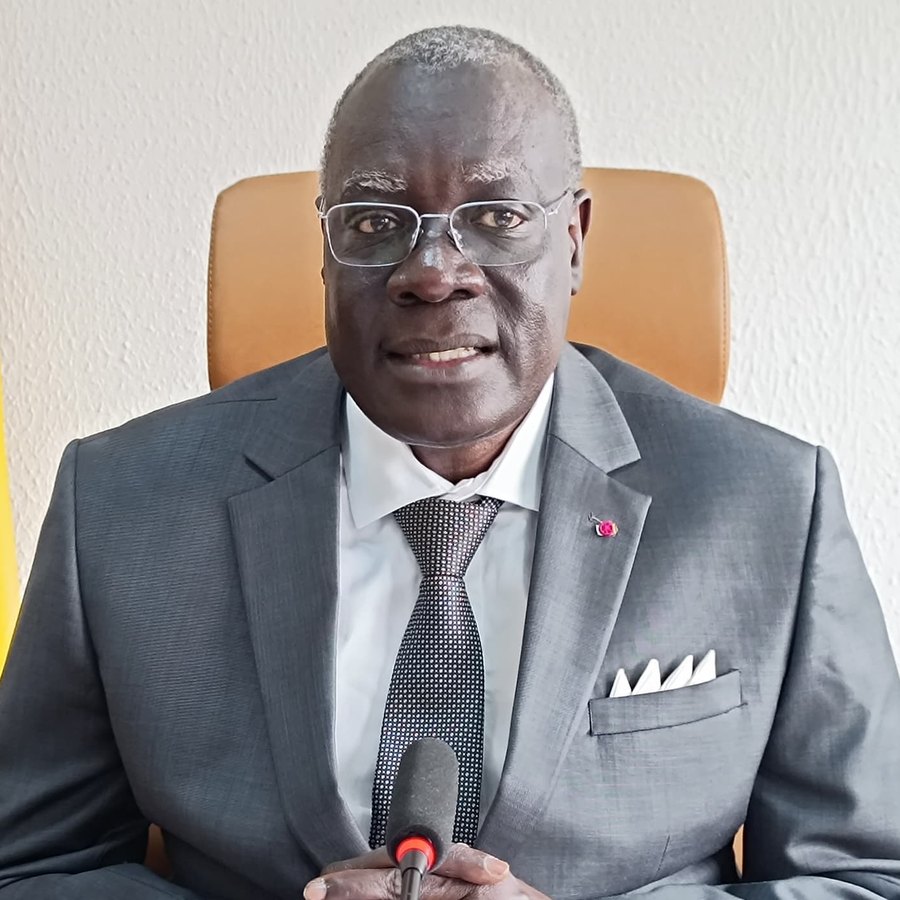 Portrait officiel du Ministre de l'Emploi et de la Formation Professionnelle